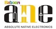Absolute Native Electronics